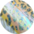 LEOPARDO DHS-SP2